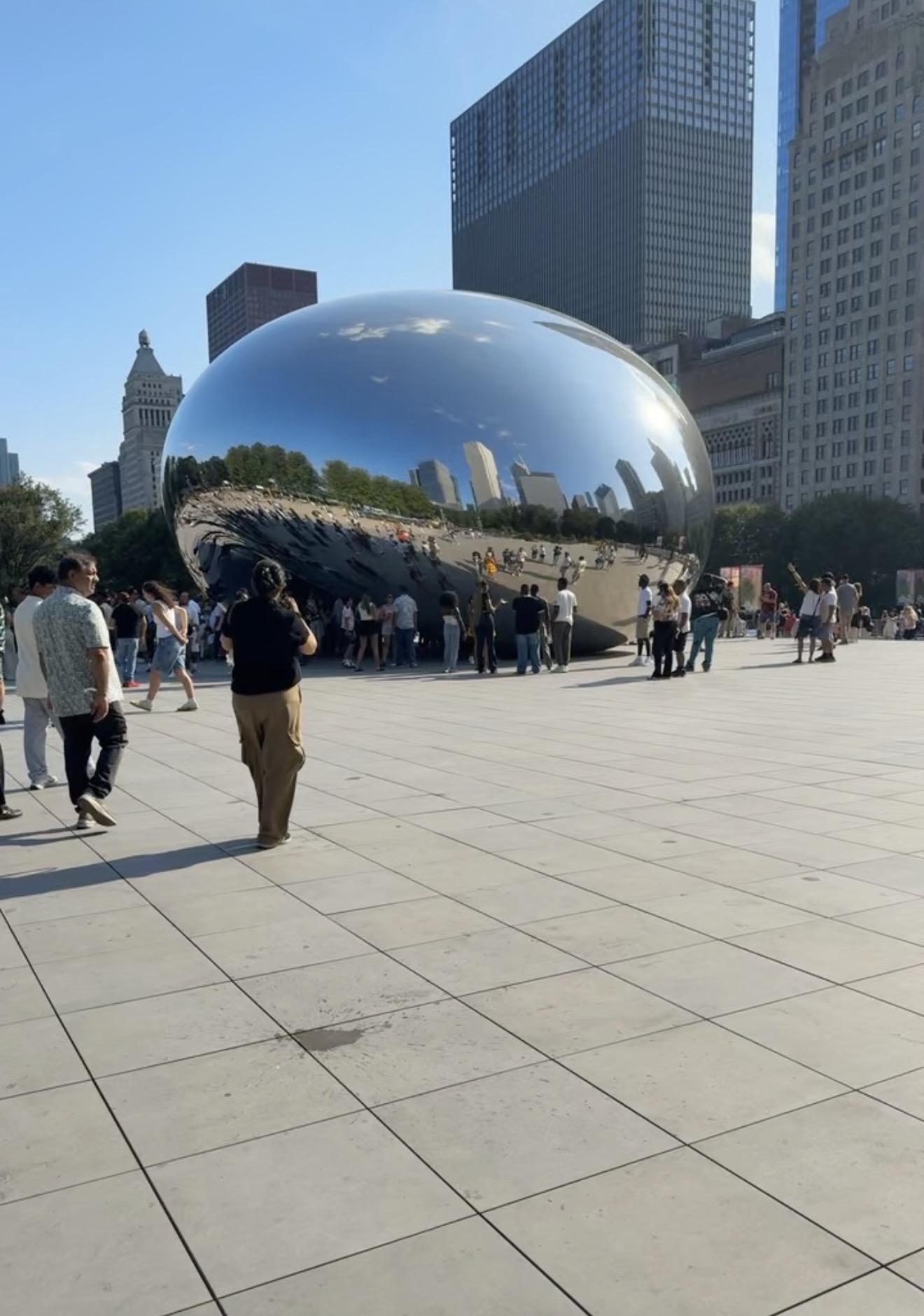 professional movers in Chicago